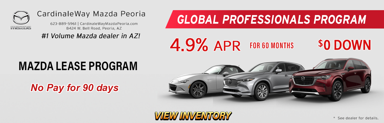 GLOBAL PROFESSIONALS PROGRAM