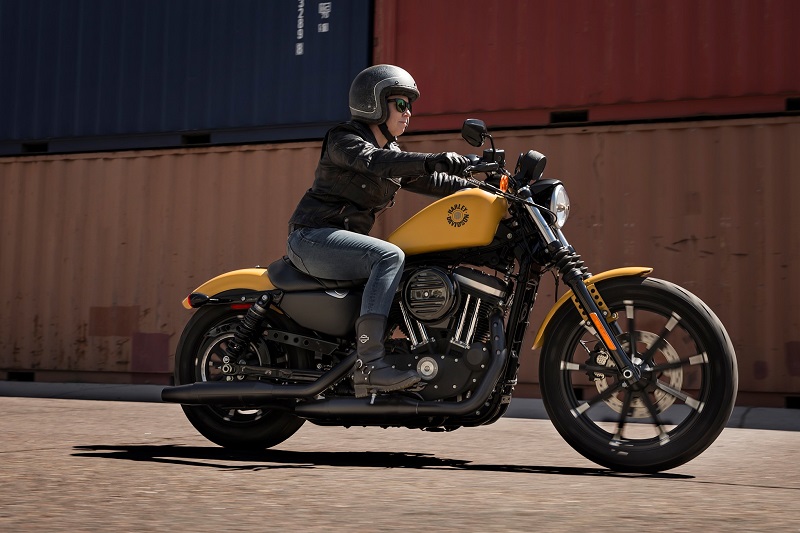 2019 harley davidson iron 883 price