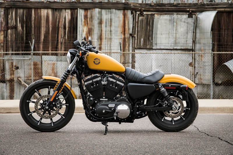 2019 iron 883