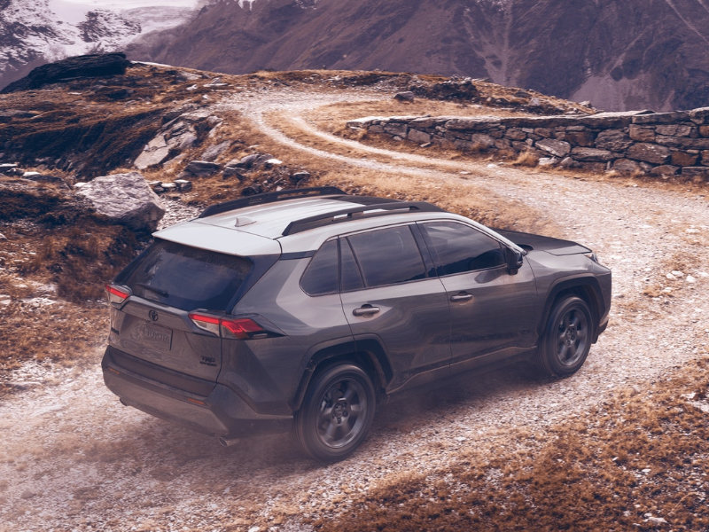 Colorado Springs CO - 2021 Toyota RAV4's Exterior