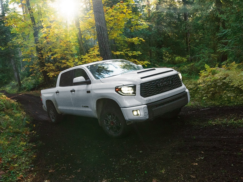 Colorado Springs CO - 2021 Toyota Tundra's Exterior