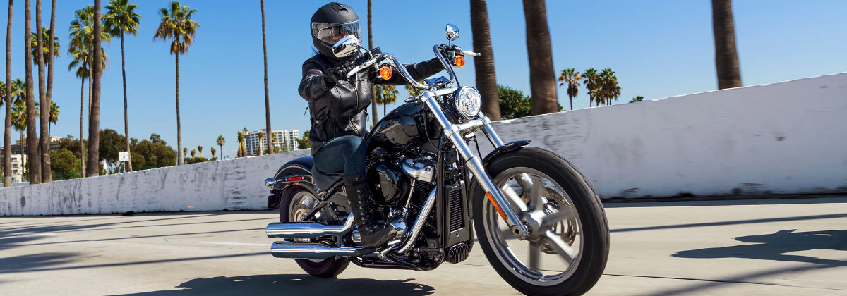 Test Ride 2022 Harley-Davidson® Softail® Standard near Darlington MD