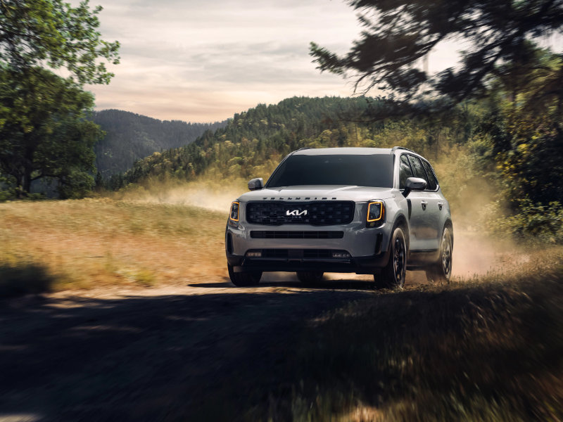 Boardman OH - 2022 Kia Telluride's Exterior