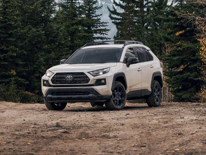 Purchase a 2022 Toyota RAV4 near Greenville PA