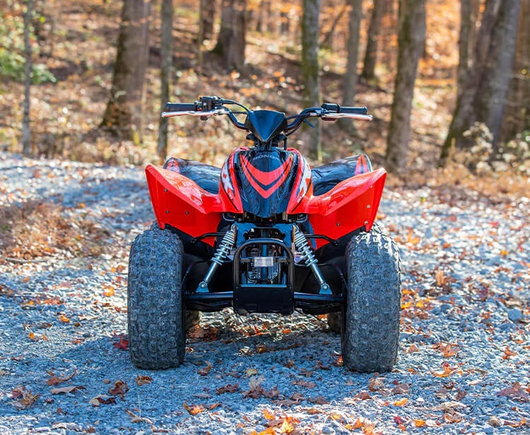 Burlington KS - 2024 Honda TRX90X's Trim