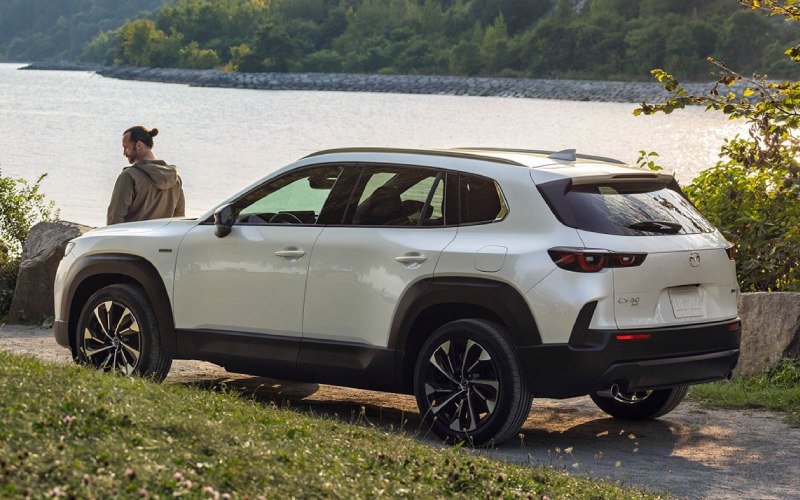 What to Inspect on a Pre-Owned Hybrid