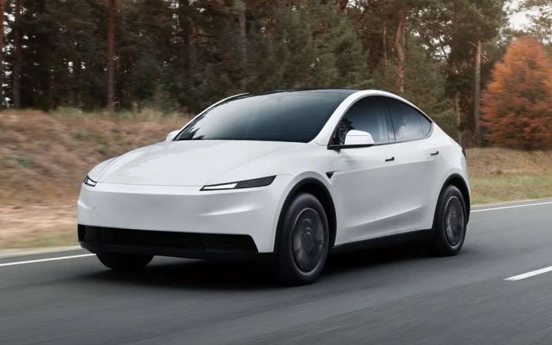 Winston-Salem, NC - Used Tesla Model Y's Overview