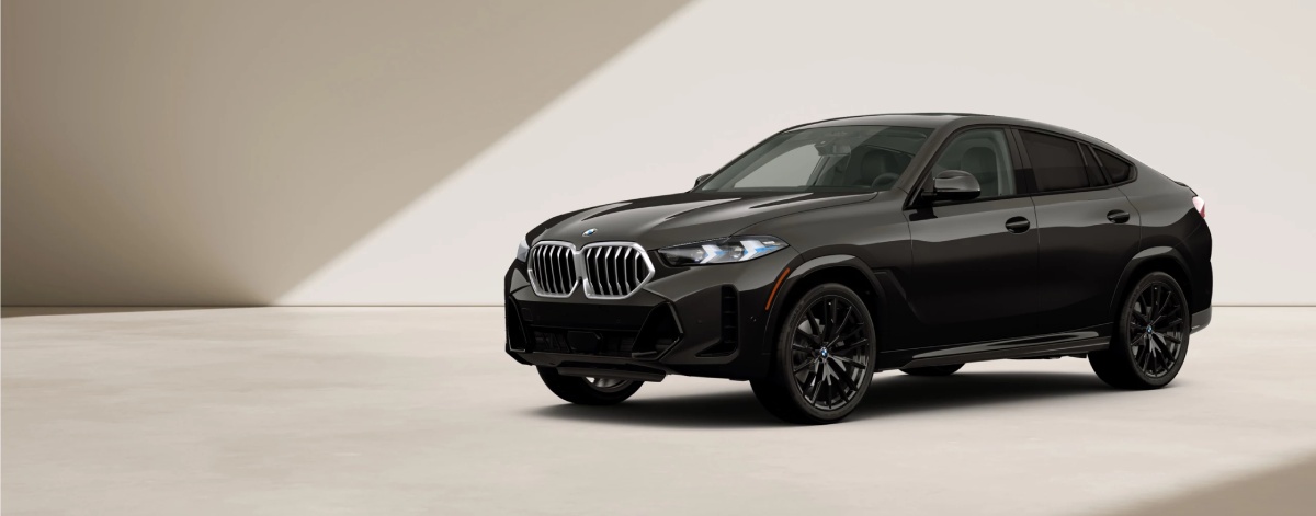 2027 BMW X6 Shopping Overview near Santa Maria, CA